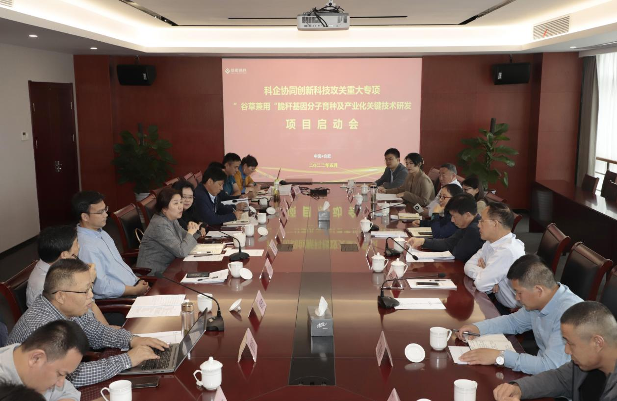 央媒密集聚焦的背后，凯发k8给出了方案5.png
